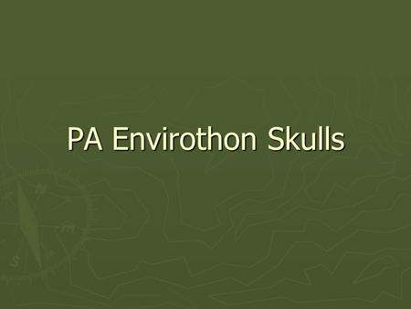 PA Envirothon Skulls. Identifying Skulls ► Eye placement  Predators ► Eye sockets point forward  Prey ► Eye sockets are placed to side of skull ► Shape.