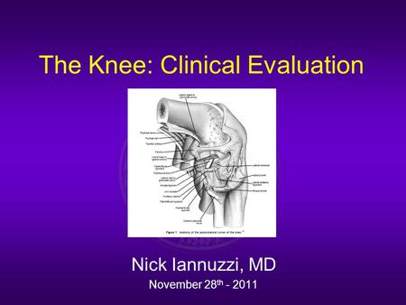 The Knee: Clinical Evaluation Nick Iannuzzi, MD November 28 th - 2011.