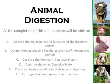 Animal Digestion At the completion of this unit students will be able to: Describe the major parts and functions of the digestive system Define Monogastric.