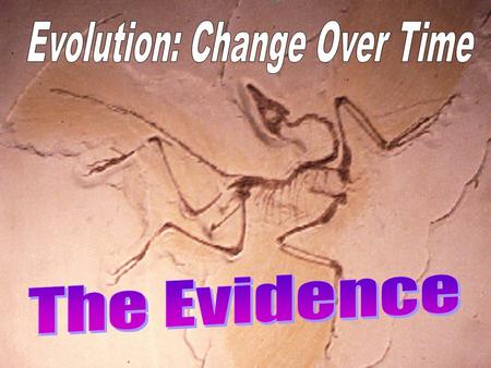 Evolution: Change Over Time