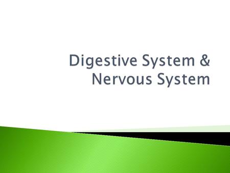Digestive System & Nervous System