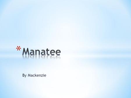 By Mackenzie. * Manatees can be 10-12 feet long. * Manatees can weigh 1,500-1,800 pounds. * Manatees are grayish brown.