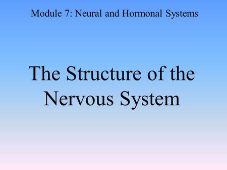 The Structure of the Nervous System Module 7: Neural and Hormonal Systems.