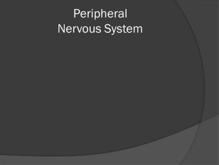 Peripheral Nervous System.  Now that we’ve looked at spinal and cranial nerves, we can examine the divisions of the PNS.  The PNS is broken down into.