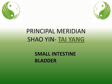 PRINCIPAL MERIDIAN SHAO YIN- TAI YANG