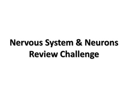 Nervous System & Neurons Review Challenge