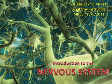 Introduction to the NERVOUS SYSTEM