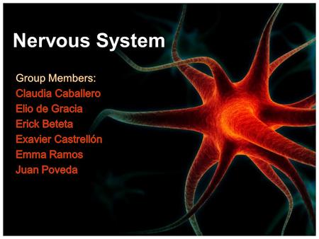 Nervous System Objectives: Student s will be able to: Identify dendrites, cell body, axon of a neuron Differentiate the structure and function of a motor.
