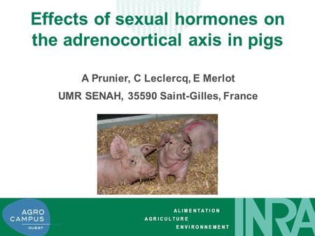 A L I M E N T A T I O N A G R I C U L T U R E E N V I R O N N E M E N T Effects of sexual hormones on the adrenocortical axis in pigs A Prunier, C Leclercq,