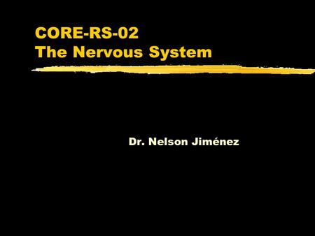 CORE-RS-02 The Nervous System Dr. Nelson Jiménez.
