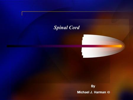 Spinal Cord By Michael J. Harman . Meninges Meninges: Pia Mater Thin inner membrane covering brain and spinal cord.
