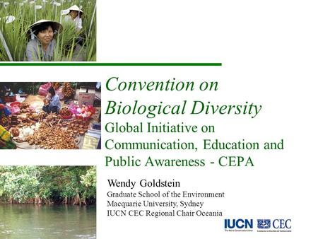 Convention on Biological Diversity Global Initiative on Communication, Education and Public Awareness - CEPA Wendy Goldstein Graduate School of the Environment.