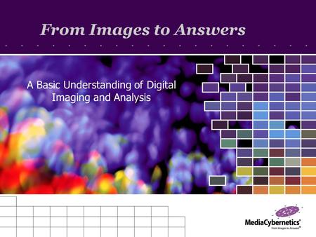From Images to Answers A Basic Understanding of Digital Imaging and Analysis.