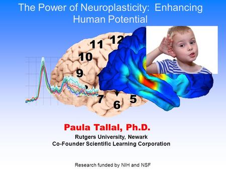 12 6 6 3 3 9 9 1 1 2 2 4 4 5 5 7 7 8 8 11 10 The Power of Neuroplasticity: Enhancing Human Potential Rutgers University, Newark Co-Founder Scientific.