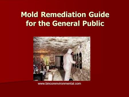 Mold Remediation Guide for the General Public www.bincorenvironmental.com.