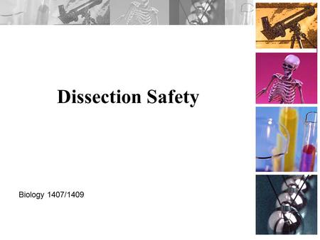 Dissection Safety Biology 1407/1409.