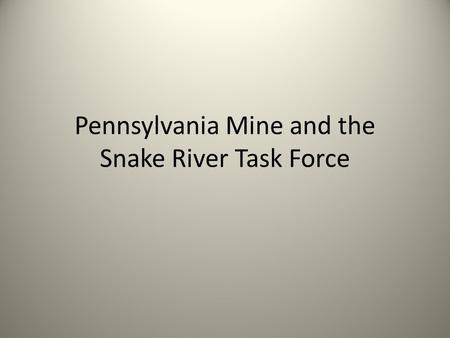 Pennsylvania Mine and the Snake River Task Force.