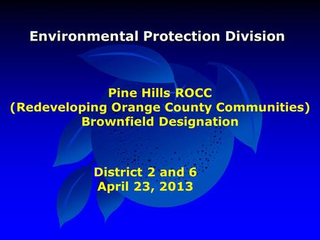 Pine Hills ROCC (Redeveloping Orange County Communities) Brownfield Designation Environmental Protection Division District 2 and 6 April 23, 2013.