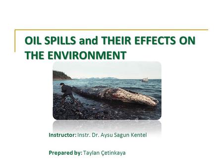 OIL SPILLS and THEIR EFFECTS ON THE ENVIRONMENT Instructor: Instr. Dr. Aysu Sagun Kentel Prepared by: Taylan Çetinkaya.