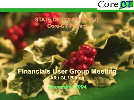 STATE OF CONNECTICUT Core-CT Project Financials User Group Meeting AR / GL / Billing December 2004.