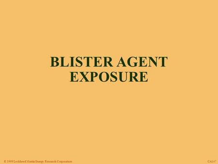 © 1999 Lockheed Martin Energy Research Corporation CA147 BLISTER AGENT EXPOSURE.