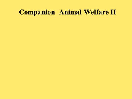 Companion Animal Welfare II. PROBLEMATIC PROCEDURES Ear cropping De-clawing Tail docking.