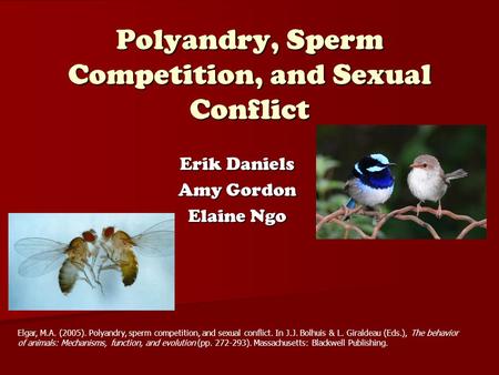 Polyandry, Sperm Competition, and Sexual Conflict Erik Daniels Amy Gordon Elaine Ngo Elgar, M.A. (2005). Polyandry, sperm competition, and sexual conflict.