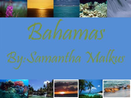 Bahamas By:Samantha Malkus.