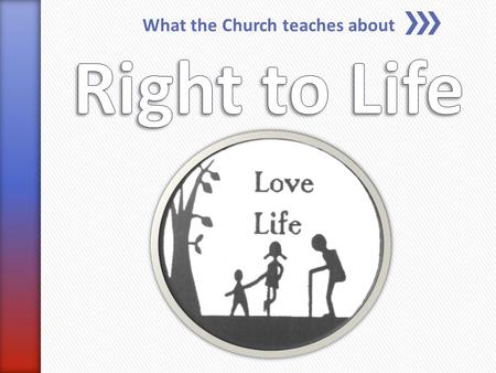 What the Church teaches about. » “A moral principle based on the belief that a human being has the right to live and, in particular, should not be unjustly.