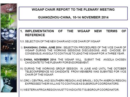 1.IMPLEMENTATION OF THE WGAAP NEW TERMS OF REFERENCE 1.1. SELECTION OF THE NEW CHAIR AND VICE CHAIR OF WGAAP I) SHANGHAI, CHINA, JUNE 2014 : SELECTION.