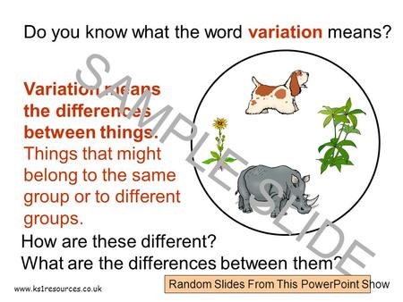 www.ks1resources.co.uk Do you know what the word variation means? How are these different? What are the differences between them? Variation means the.