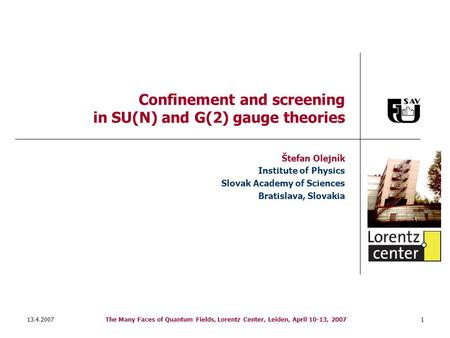13.4.2007The Many Faces of Quantum Fields, Lorentz Center, Leiden, April 10-13, 20071 Confinement and screening in SU(N) and G(2) gauge theories Štefan.