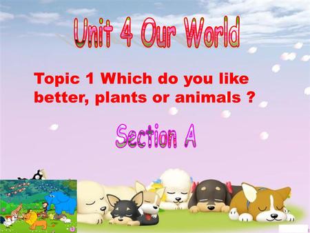 Topic 1 Which do you like better, plants or animals ?