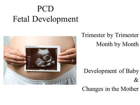 PCD Fetal Development Trimester by Trimester Month by Month