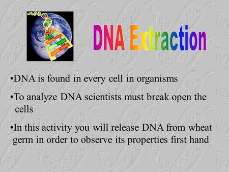 DNA is found in every cell in organisms To analyze DNA scientists must break open the cells In this activity you will release DNA from wheat germ in order.