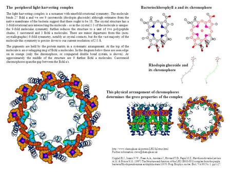 The peripheral light-harvesting complex The light harvesting complex is a nonamer with ninefold rotational symmetry. The molecule binds 27 Bchl a and we.