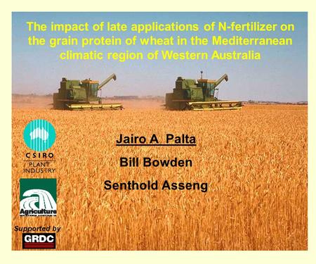 The impact of late applications of N-fertilizer on the grain protein of wheat in the Mediterranean climatic region of Western Australia Jairo A Palta Bill.