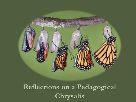 Reflections on a Pedagogical Chrysalis. Factors that Framed the Creation of Version 1.0 Honors course Desire to help students engage in more metacognition.