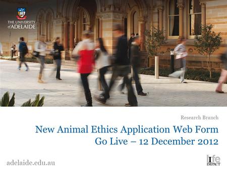 New Animal Ethics Application Web Form Go Live – 12 December 2012 Research Branch adelaide.edu.au.