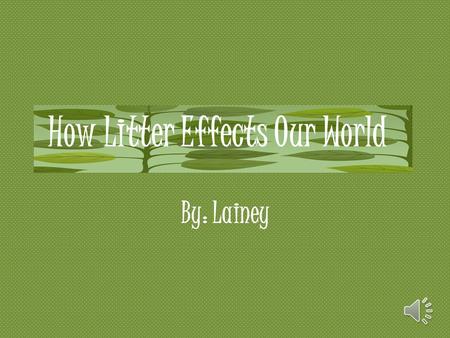 How Litter Effects Our World