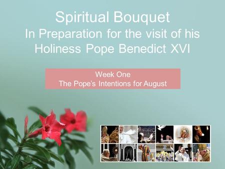 Spiritual Bouquet In Preparation for the visit of his Holiness Pope Benedict XVI Week One The Pope’s Intentions for August.