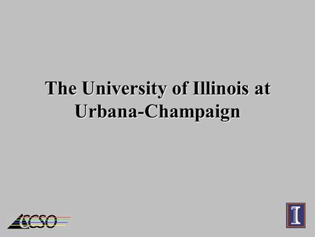 The University of Illinois at Urbana-Champaign. The Team Ed Krol – Asst Dir. Computing & Communications Bill Mischo – Engineering Librarian Mike Grady.