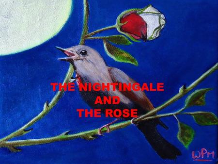 THE NIGHTINGALE AND THE ROSE.