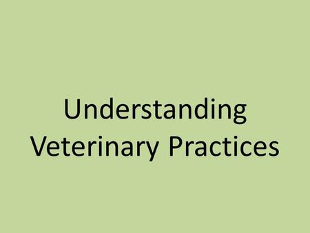 Understanding Veterinary Practices. Bell Work Before Jim attempts to draw blood with a needle, he asks his brother to hold onto the horse’s ear tightly.