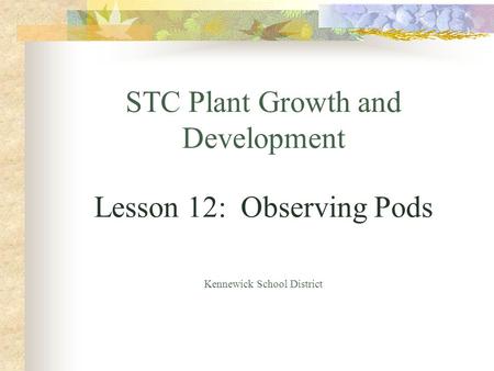 STC Plant Growth and Development Lesson 12:  Observing Pods