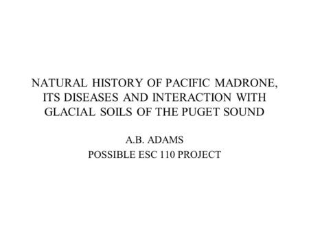 NATURAL HISTORY OF PACIFIC MADRONE, ITS DISEASES AND INTERACTION WITH GLACIAL SOILS OF THE PUGET SOUND A.B. ADAMS POSSIBLE ESC 110 PROJECT.