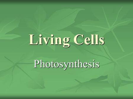 Living Cells Photosynthesis.