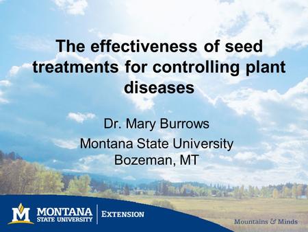 The effectiveness of seed treatments for controlling plant diseases Dr. Mary Burrows Montana State University Bozeman, MT.