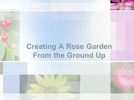 Creating A Rose Garden From the Ground Up. Course Objective Learn the basics of planting and maintaining a rose garden. You will learn the following during.