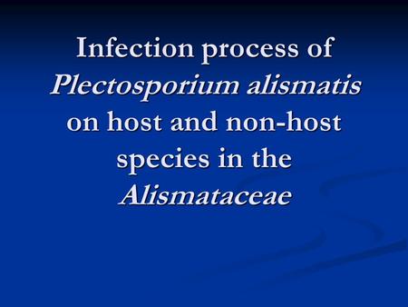 Infection process of Plectosporium alismatis on host and non-host species in the Alismataceae.